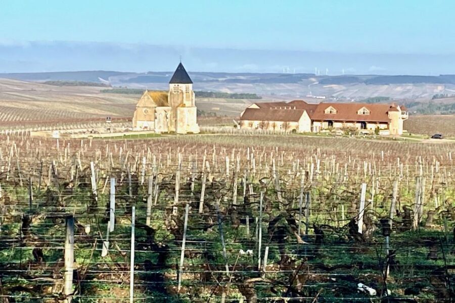 15 Burgundy Wines Chateau Pommard, Chablis Small-Group - Key moments worth circling