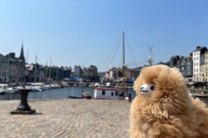 2-Days Customisable Private Guided Tour in Normandy & Brittany - Who This Tour Suits Best