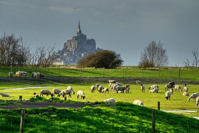 2 Hours Private Walking Tour of Mont Saint Michel - Why this 2-hour private format fits Mont Saint Michel