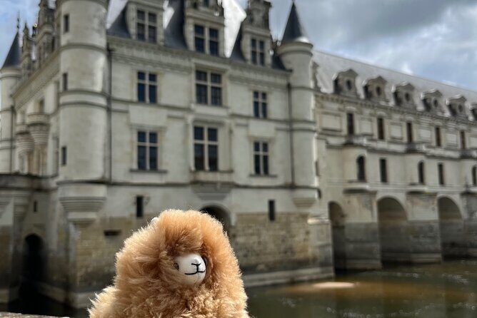 3 Loire Valley Castles and Wine Tasting Private Guided Tour - Lunch in Amboise: use the free hour well