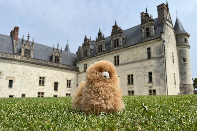 3 Loire Valley Castles and Wine Tasting Private Guided Tour - Château de Chenonceau: the ladies’ story and the most photogenic grounds