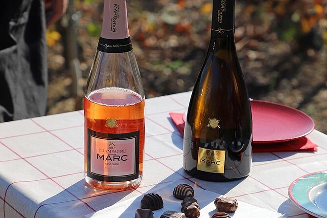 A unique sensory experience in the vineyards - Quick hits: what makes this Champagne Marc tour worth your time