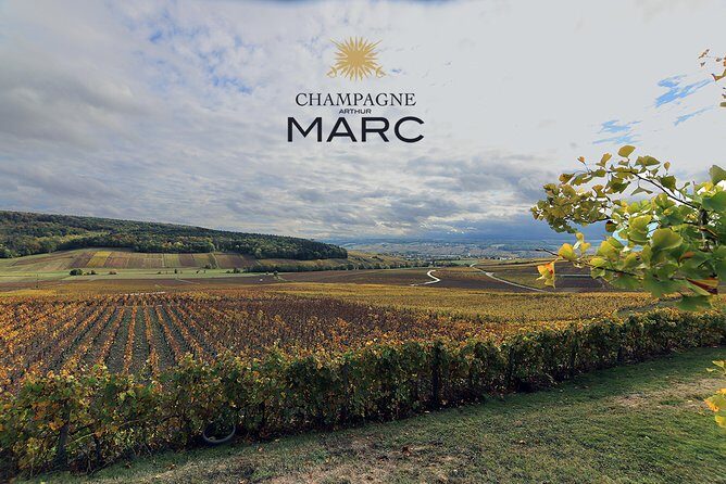 A unique sensory experience in the vineyards - Stop 3: disgorgement à la volée, then Rosé Champagne and chocolate