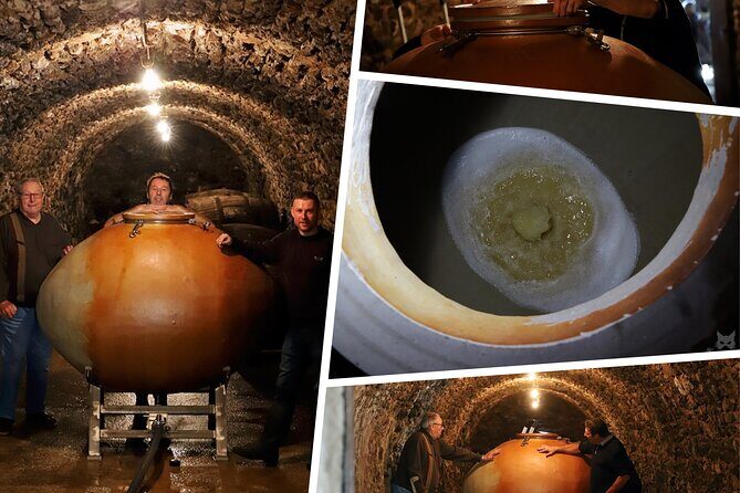 A unique sensory experience in the vineyards - How the 2.5- to 3-hour format keeps the day enjoyable