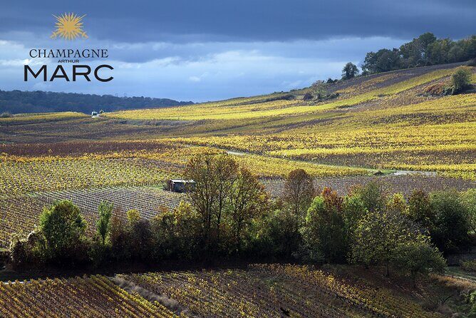 A unique sensory experience in the vineyards - Who should book this Champagne Marc tour?