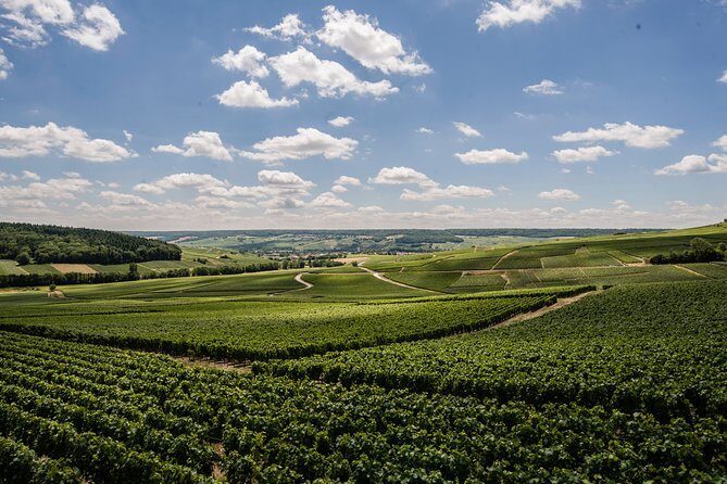 A unique sensory experience in the vineyards - Stop 1: the 4x4 vineyard run and the Perla-Néra foie gras moment