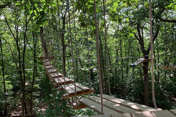 Accrobranches course in the middle of the forest in Saint-Germain-en-Laye - Key things that make this Accrobranches course worth it