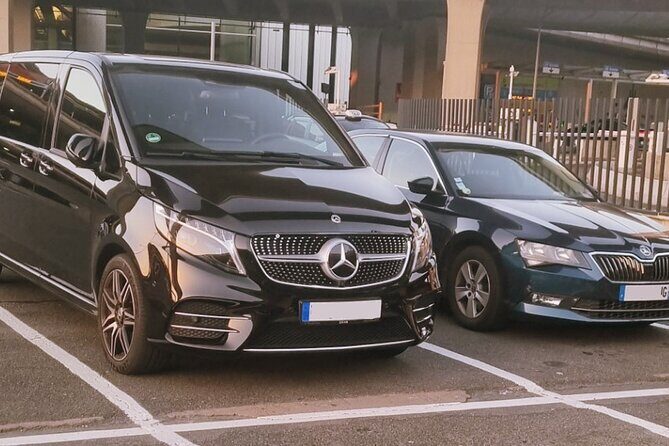 Airport Transfer Paris - Disneyland - Minivan 1-8 Passengers - Meet your driver: customs exit pickup and luggage help