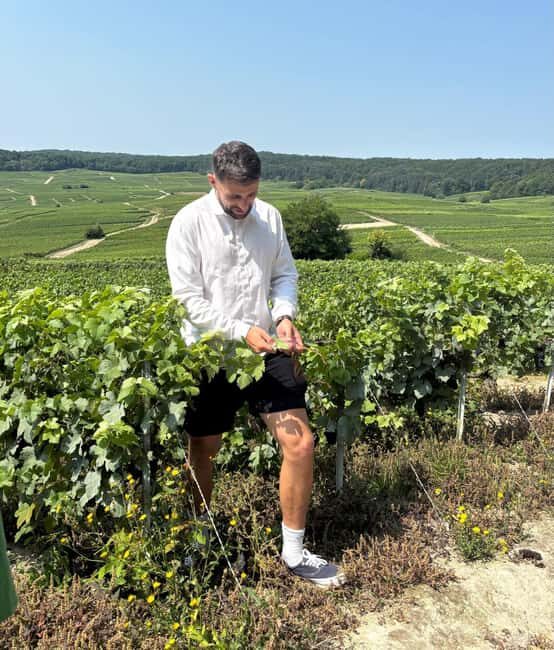 Atypical Champagne tasting with a great view - Meet Thomas Brasher and the laid-back style of the session