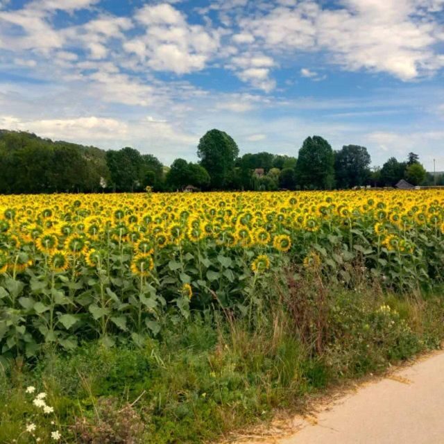Bike tour from Vernon to Giverny with local guide - Arriving in Giverny at Monet’s house and gardens