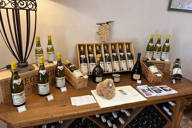 Burgundy Wine & Cheese Tasting Private Day Trip 15 glasses - Stop in Chablis: Jean-Marc Brocard’s cave visit and tasting set