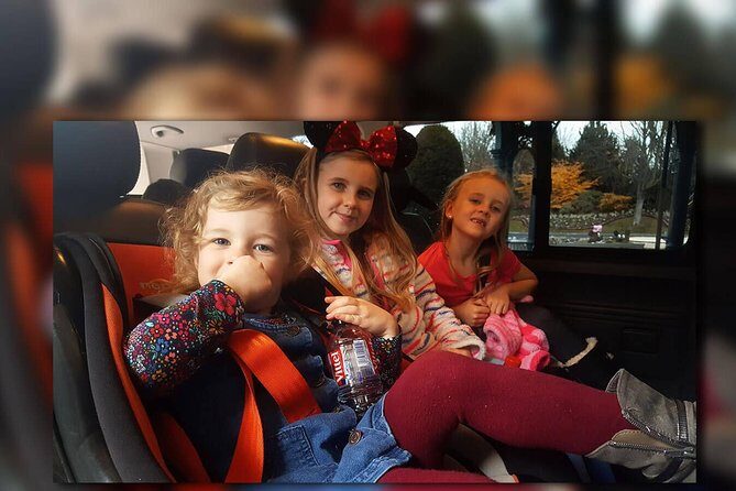 CDG - Euro Disney One Way Private Shuttle Transfer - Key things to know before you book