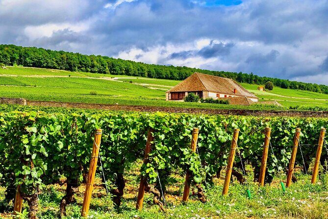 Chablis 20 Exquisite Wines Tasting Trip in Small-Group from Paris - How this Chablis day works from Paris (and why it’s efficient)