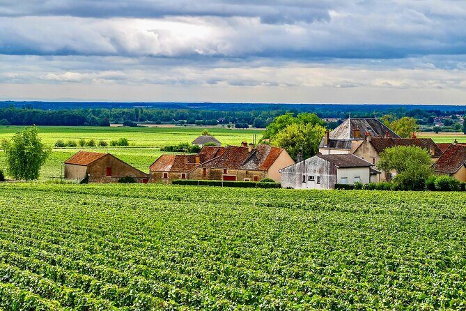 Chablis 20 Exquisite Wines Tasting Trip in Small-Group from Paris - Stop 2: Domaine Céline & Frédéric Gueguen—optional tasting and local-style variety