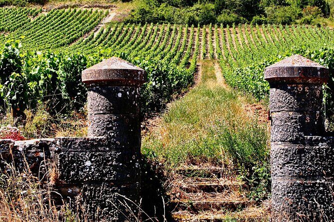 Chablis 20 Exquisite Wines Tasting Trip in Small-Group from Paris - Lunch in Chablis village—time to breathe and choose your meal style