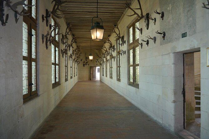 Chambord Castle: Private Guided Walking Tour - Chambord Castle, guided on foot: what your two hours really mean