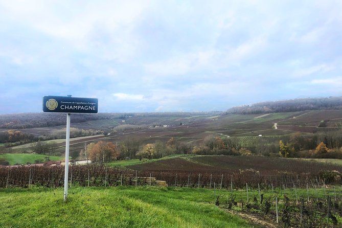 Champagne Area Small-Group Tour including a Top Champagne house & Family Winery - The family winery stop at Roger-Constant Lemaire: four tastings and real growers