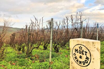 Champagne Area Small-Group Tour including a Top Champagne house & Family Winery - Epernay chalk cellars at Moët & Chandon: glamour with a purpose