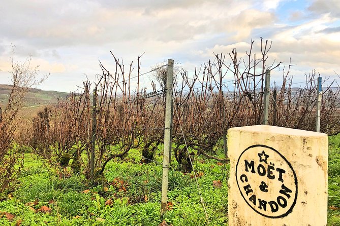 Champagne Area Small-Group Tour including a Top Champagne house & Family Winery - Epernay chalk cellars at Moët & Chandon: glamour with a purpose