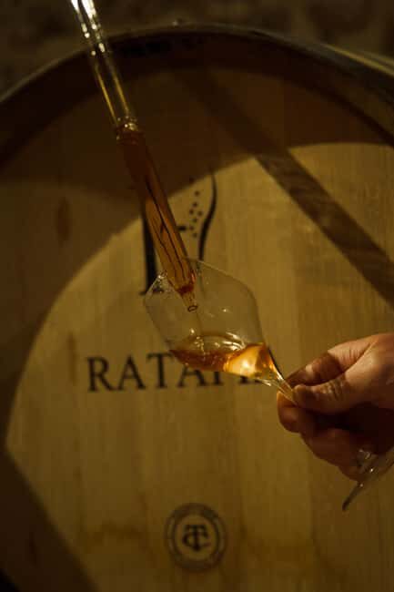 Champagne Cellar Experience: Explore our historic cellars - Champagne Harlin Père & Fils: what makes a cellar experience work