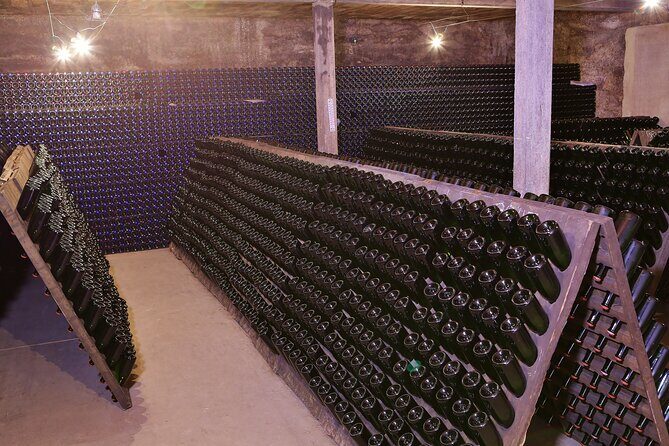 Champagne Guy De Chassey: Traditional Tour & Tasting - Key things to know before you go