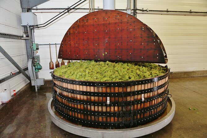 Champagne Guy De Chassey: Traditional Tour & Tasting - Finding Champagne Guy de Chassey near Reims: the 90-minute pace