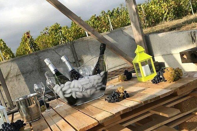 Champagne Lamiable: Stroll and taste in the Grand Cru Champagne vineyard - Key points to know before you go