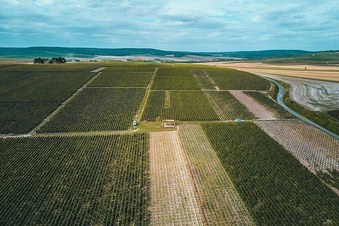 Champagne Lamiable: Stroll and taste in the Grand Cru Champagne vineyard - Tours-sur-Marne meets Reims: how the timing really works