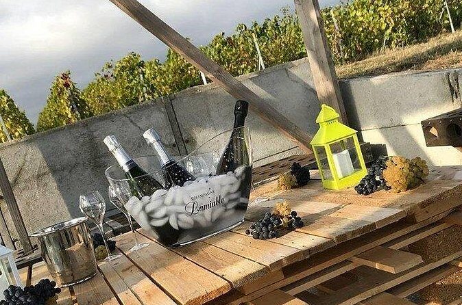 Champagne Lamiable: Stroll and taste in the Grand Cru Champagne vineyard - Practical logistics that affect your day