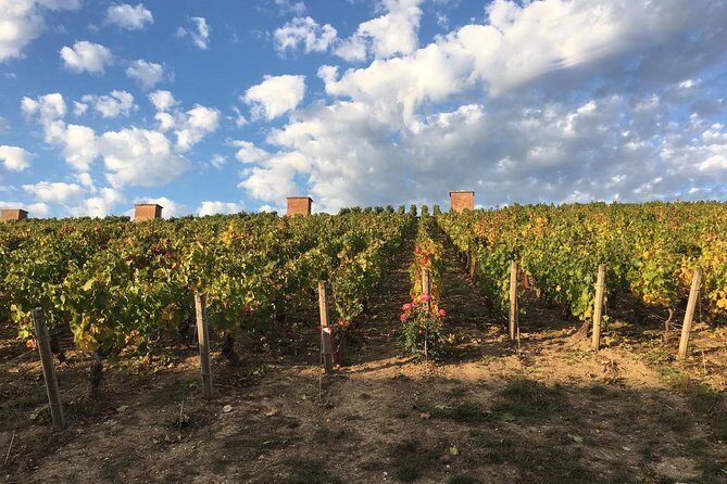 Champagne & Loire Valley Small Group Double Wine Day Tours - Two Regions in Two Days: Chambord and Champagne Without the Driver Headache