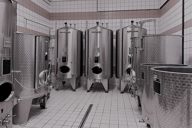 Champagne Munoz Bruneau : Half Day Visit and Tasting - Hautvillers and Dom Pérignon: UNESCO in plain language