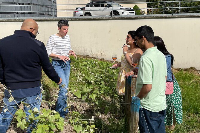 Champagne Munoz Bruneau : Half Day Visit and Tasting - Champagne Munoz Bruneau: where you see the process