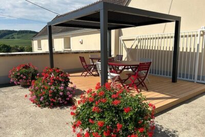 Champagne Munoz Bruneau : Half Day Visit and Tasting - The air-conditioned minivan rhythm (and why small matters here)