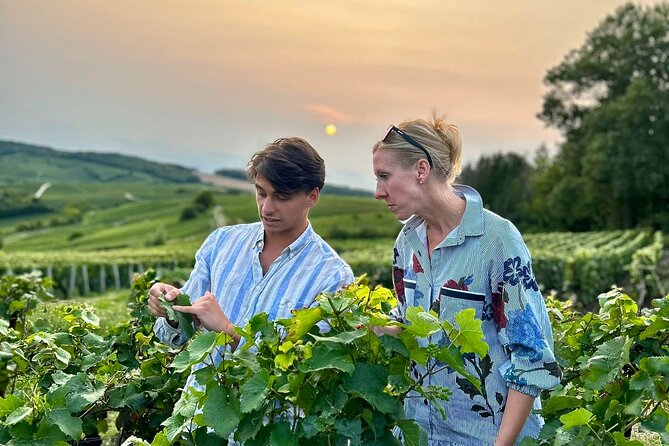 Champagne Private VIP Wine Day Trip with Michelin Lunch - Vineyard Walks With Montagne de Reims and Cote des Blancs Views