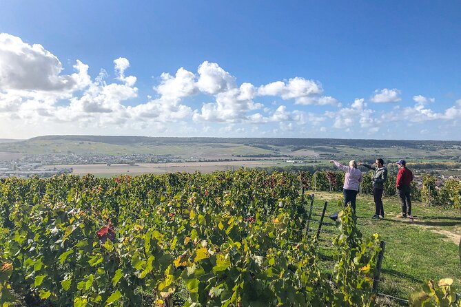 Champagne Private VIP Wine Day Trip with Michelin Lunch - Croissants, Caves, and How to Prepare for a Long Wine Day