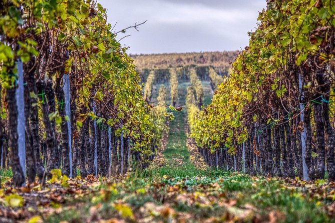 Champagne Private VIP Wine Day Trip with Michelin Lunch - Value: What You’re Really Paying For at $1,263 Per Person