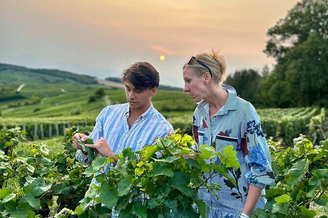 Champagne Private Wine Day Trip with Lunch and Wine Tastings - Key highlights to know before you go