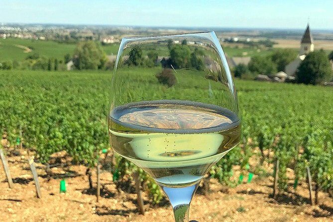 Champagne Private Wine Day Trip with Lunch and Wine Tastings - Epernay lunch with Champagne pairing: where the day slows down