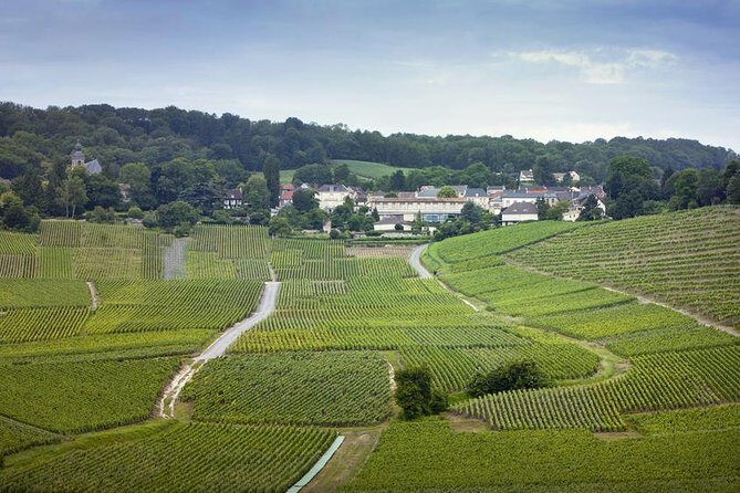 Champagne Region Private Day Trip from Paris - Private Pickup From Paris: The Easiest Way to Reach Reims and Epernay