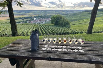 Champagne Small-Group Day Trip with Lunch and Tastings from Paris - Paris to Champagne: why the minivan day trip is the smartest choice