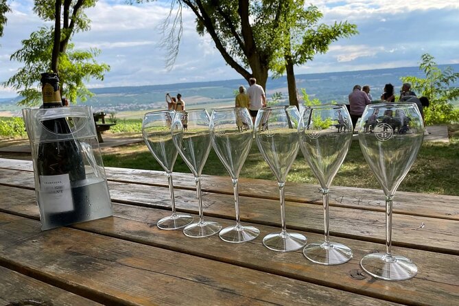 Champagne Small-Group Day Trip with Lunch and Tastings from Paris - Views at Champagne-Ardenne and Montagne de Reims: when the scenery teaches