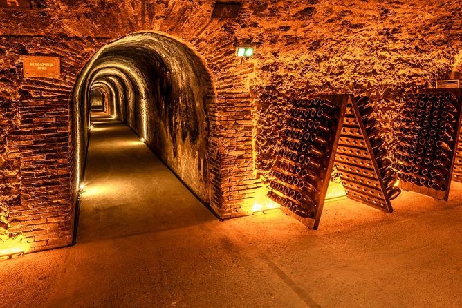 Champagne Small-Group Day Trip with Lunch and Tastings from Paris - Lunch with regional dishes and Champagne pairing: what to expect