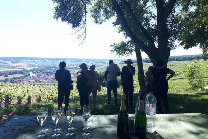 Champagne tasting, panoramic walk in the vineyards - Reims’ Champagne hills: what the short vineyard walk really gives you