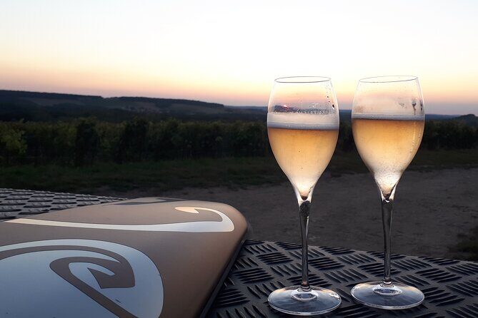 Champagne tasting, panoramic walk in the vineyards - Your guide, your pace: Christophe and the flexible feel