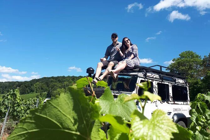Champagne tasting, panoramic walk in the vineyards - What to bring and how to make the most of outdoor tasting