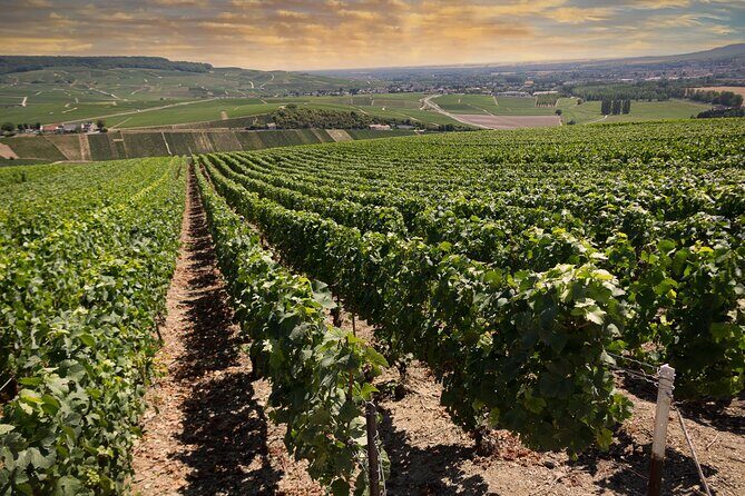 Champagne Tasting Tour Day Trip From Paris - Price and What Your $421 Buys You