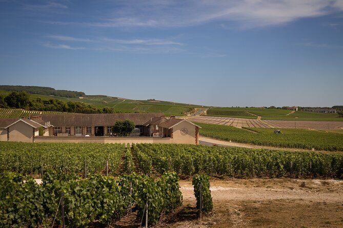 Champagne Tasting Tour Day Trip From Paris - Abbaye Saint-Pierre d’Hautvillers: Where Dom Pérignon Fits In