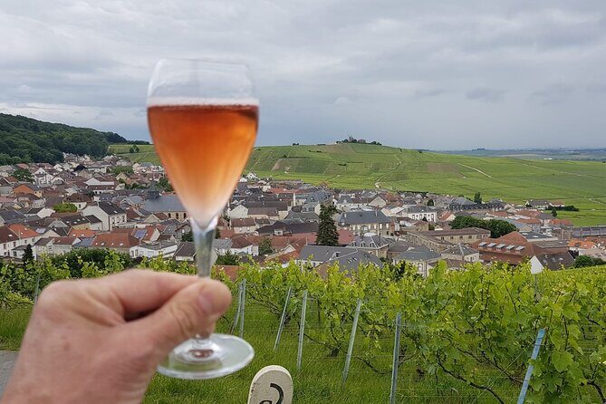 Champagne Tour from Paris by minivan with Reims Cellars & Champagne Tasting - Key Points You Should Know Before You Go