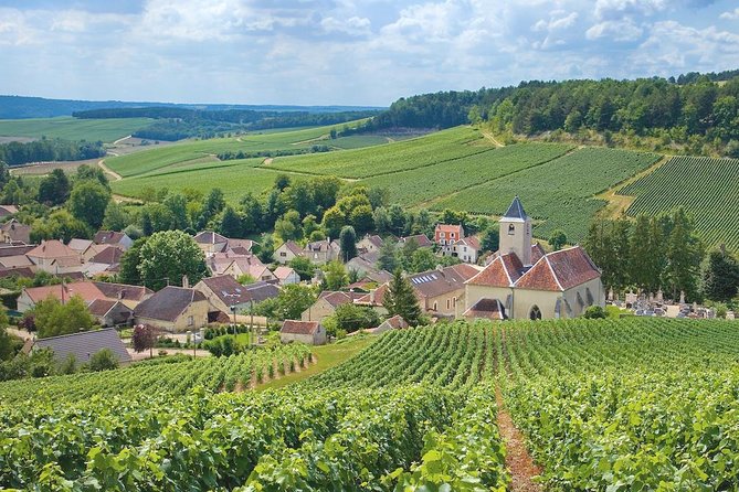 Champagne Tour - Door-to-Door Pickup From Paris (Even If You Land Late)