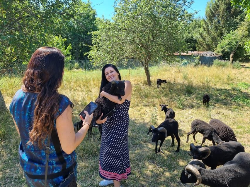 Champagne Vineyard Experience: Delve into the terroir - Biodiversity and sustainable viticulture: how it shows up in the experience